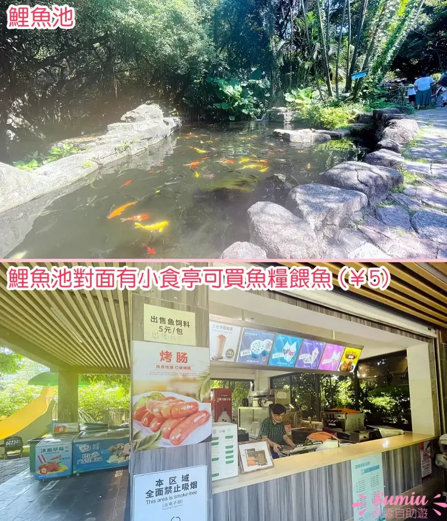 青青世界鯉魚池